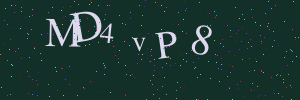 Validation image